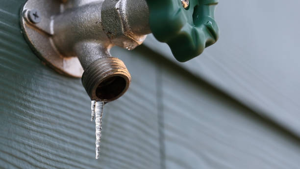 Best Clogged Drain Plumber  in San Elizario, TX